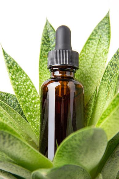 一个棕色的玻璃滴瓶内含精华液精油或其他化妆品和绿色热带花卉植物